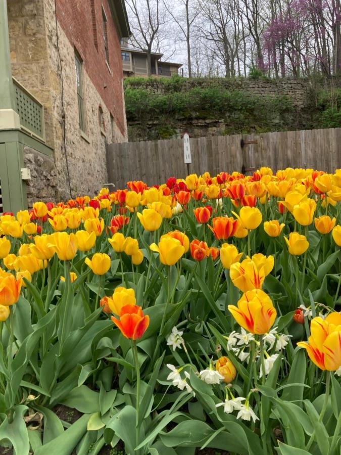 Abe'S Spring Street Guest House Galena Buitenkant foto