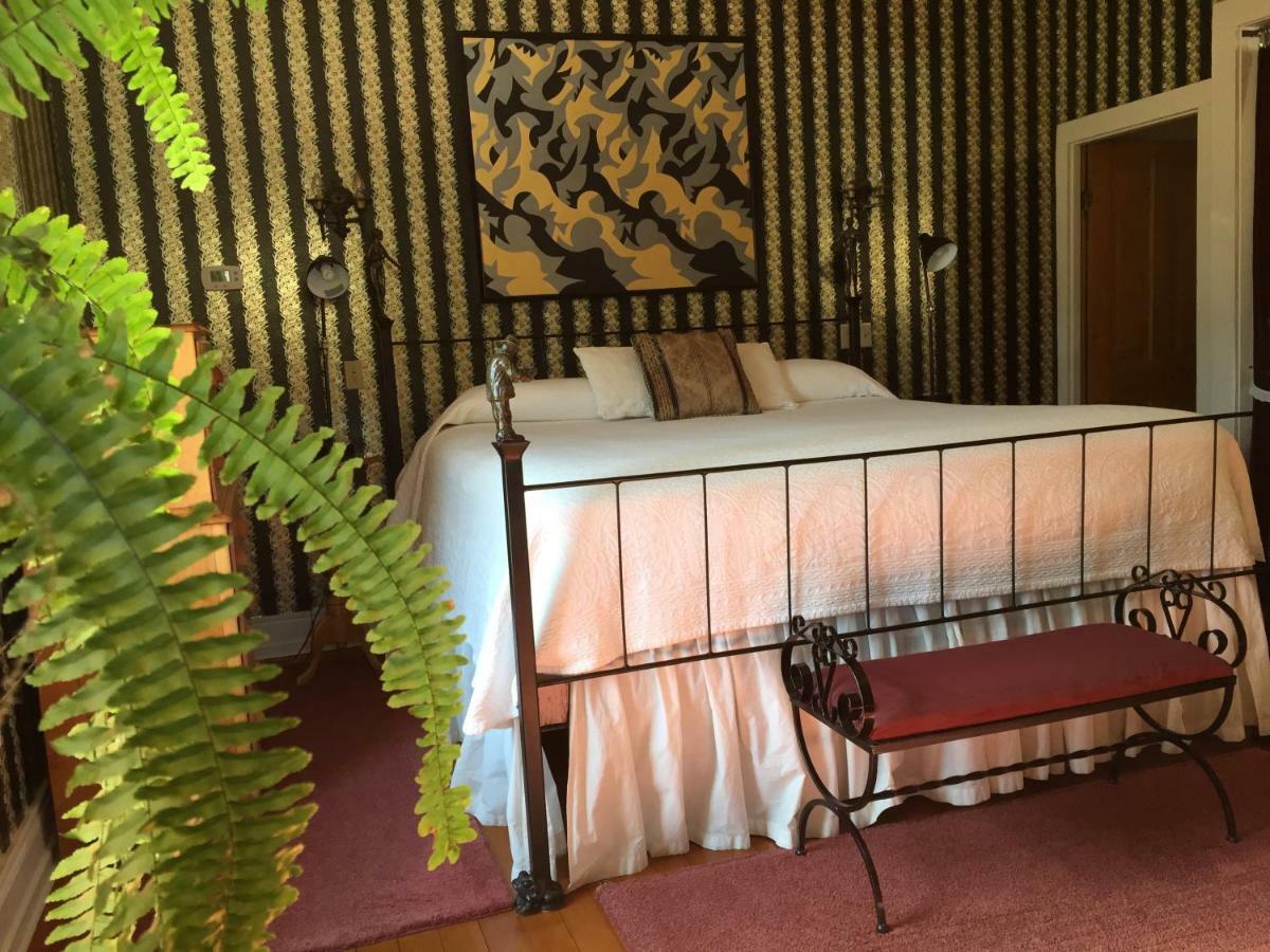 Abe'S Spring Street Guest House Galena Buitenkant foto
